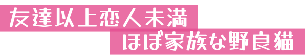 友達以上恋人未満ほぼ家族な野良猫